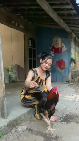 sehat sehat nggeh #ayamjago #laguviral #fyp