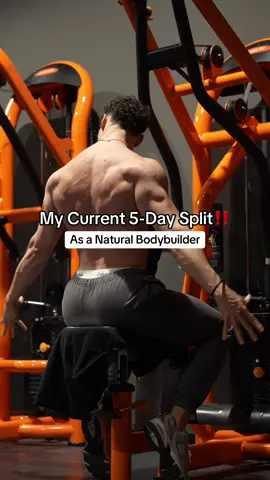 Summer Split | 2 rest days | FREE Training Program 🔗 link in bio | @AYBL code YOUNES | #workoutroutine #trainingmotivation #gym #fyppp #foryoupagee #GymTok #basicfit 