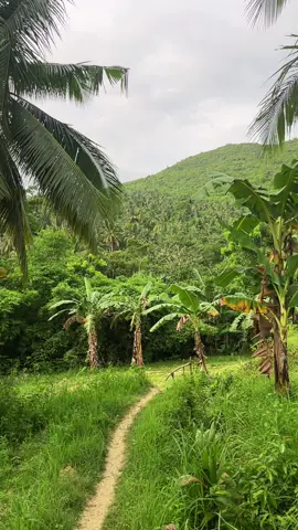 Sarap umuwi sa probinsya🍃⛰️ #nature #province #mountain  #buhayprobinsya #province 