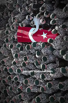 #keşfetteyizzz #keşfetedüş #fypシ゚ #viralvideo #fy #CapCut 