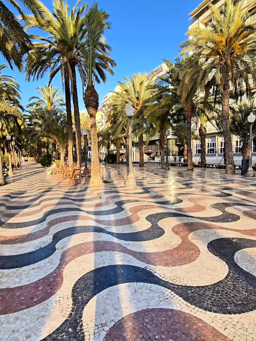 Alicante,Spain🌴🌞🌴🌞🌴 #alicantecity #spain🇪🇸 #sun #palmtrees #sea #alicante #spain #travel #travelspain #visitspain #spania🇪🇦 #espagne🇪🇦 #espagne #spania #alicantespain #alicante🇪🇸 #f #f 