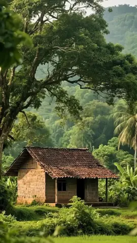 3D Camera Mode Gubuk Tua
