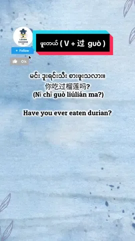 🇨🇳ဖူးတယ် ( V + 过  guò )ရဲ့အသုံးပြုပုံစကားပြောကိုလေ့လာကြည့်ရအောင်။#တရုတ်စကားလေ့လာကြမယ် #ပြည်ပရောက်ရွှေမြန်မာတွေ #hsk #letslearn #Chinese #🇸🇬 #learnchineseonline 