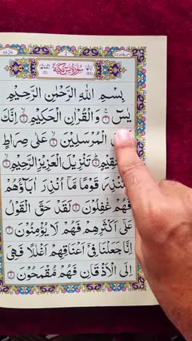 Beautiful Recitation Of Quran Surah Ya-Sin 📖 🎧 💝🫶 #🤍 #quran #fyp #fypシ #viral #tiktok #foryoupage #growmyaccount #unfrezzmyaccount 