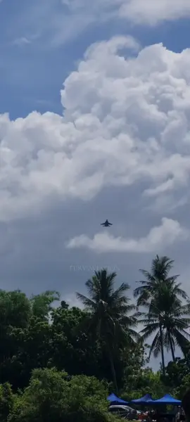 SU 30 MKM manuever 😶‍🌫️ #aviation #cobramanuever #su30 #malaysia #fyp #fypシ #tudm #su30mkm #avgeek 
