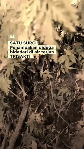 pria ini merekam ada bidadari di air terjun 💀 #penampakan #aneh #bidadari #di #airterjun #penampakanjelas #terekamkamera #mystery #terrible #foryou #fypシ #beranda #bg_fadly #viral #fyp 