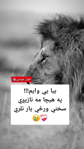 #viral #vedio #challenge #خوستوال💪❤️🇦🇫 