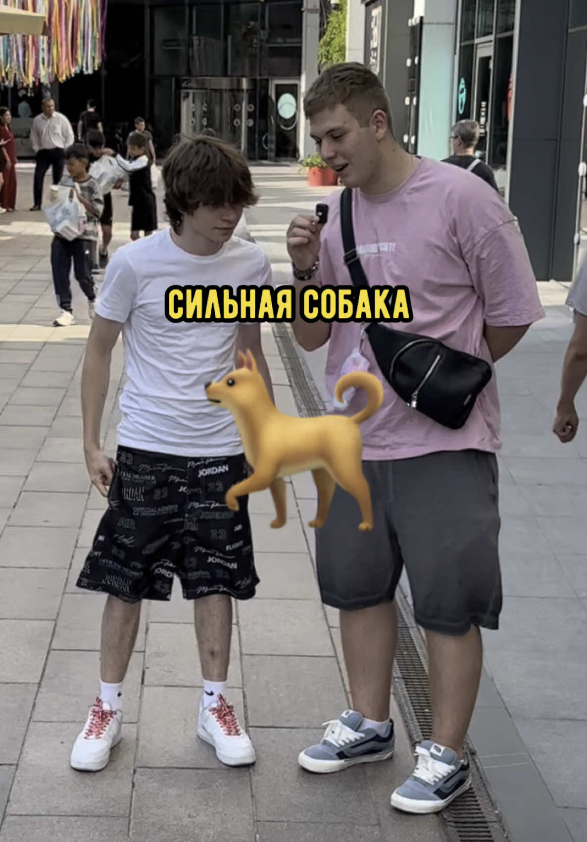 Какая самая сильная собака в мире ? 🐶