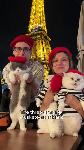 The three dancing musketeers @Prince Louie 🦁 & Todd 🐼  #cats #funnycats #travelcat #dancingcat #catlife #paris #britishshorthair #catsoftiktok #kucing #chats #neko  