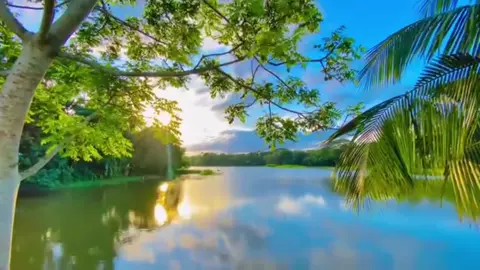 প্রকৃতির হৃদয় ছোঁয়া সৌন্দর্য আছে বলেই, জীবন সুন্দর 😌🌱 #bangladesh🇧🇩 #saionahammed #foryou #foryoupage #fypage #fypシ #fypシ゚viral #viral #viralvideo #bdtiktokofficial🇧🇩 