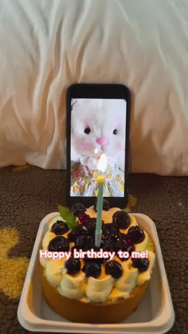 #getahugco #bunny #happybirthday #cute #cake #fy 