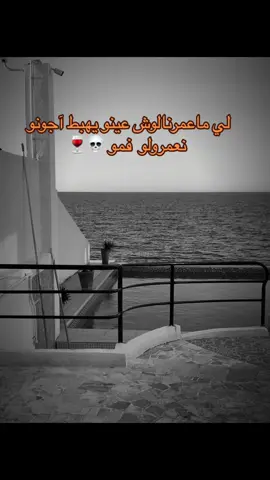 #fypシ゚ #foryoupage❤️❤️ #الشعب_الصيني_ماله_حل😂😂 #dzpower #dzair🇩🇿 #aintaya #el_jardino_ain_taya #fypシ゚viral🖤tiktok 