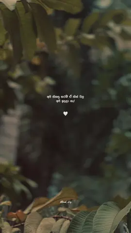 Hmm🙂