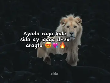 #only my Women 💐🫶🏻😂#fypシ゚viral #views #xida #ciyaalxamar 