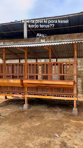 #CapCut alhamdulillah ready kembali bosku kandang kambing ukuran 1,5x4 meter jadi 6 plong pintu belakang spek tinggi dinding 120cm bosku🤩 info pemesanan⬇️⬇️⬇️ wa : 085741649092 #produksikandangkambing  #produksikandangdomba  #produksikandangkambingetawa  #produksikandangterkoleksi  #peternak #peternakmuda  #peternakmilenial #fyp  #kandangkambing  #kandangdomba  #kandangkambingmodern  #kandangdombamodern  #kandangkambingmurah  #kandangkambingminimalis  #kandangkambingetawa  #kandangkambingkoloni  #kandangkambingpe  #kandangkambingekonomis  #kandangkambingbersih  #kandangkambingkeren  #peternakkambing  #peternakdomba  #peternakkambingmuda  #peternakkambingindonesia  #peternakkambingmilenial  #peternakkambingndeso 