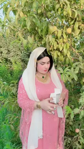 ٠۷٥۱٠٥۸٥۷٠١ ڤایبەر ٠۷٥٠۱٥۷۳٩٠٧ واتس ئاپ  ٠٧٧٣١٥٢٩٤٧٢