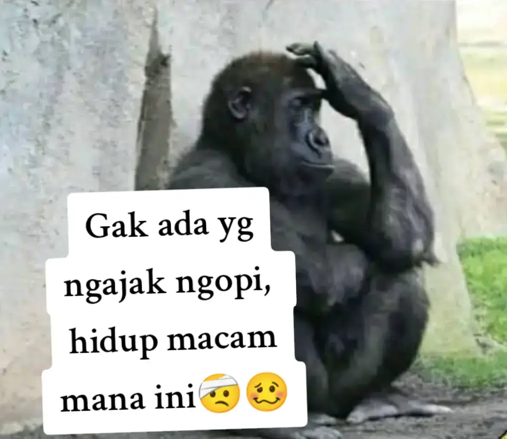 #Pusinggaess🥴