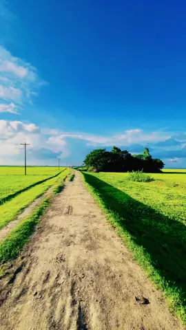 Natural View!🥰 #foryoupage #tiktok #CapCut #tiktokofficialbangladesh #natural #viralreels 