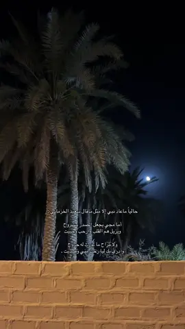 #حايل #اكسبلور #القصيم #المدينة #مطر #الشتاء #بدون_موسيقى #محمد_بن_فطيس #عبدالله_بن_شايق 