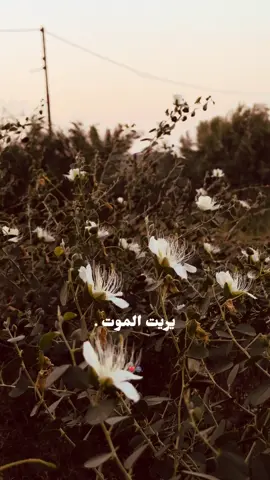 #ستوري #💔🥀 