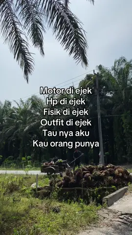 #lagubatak #4u #sawit #kuli 