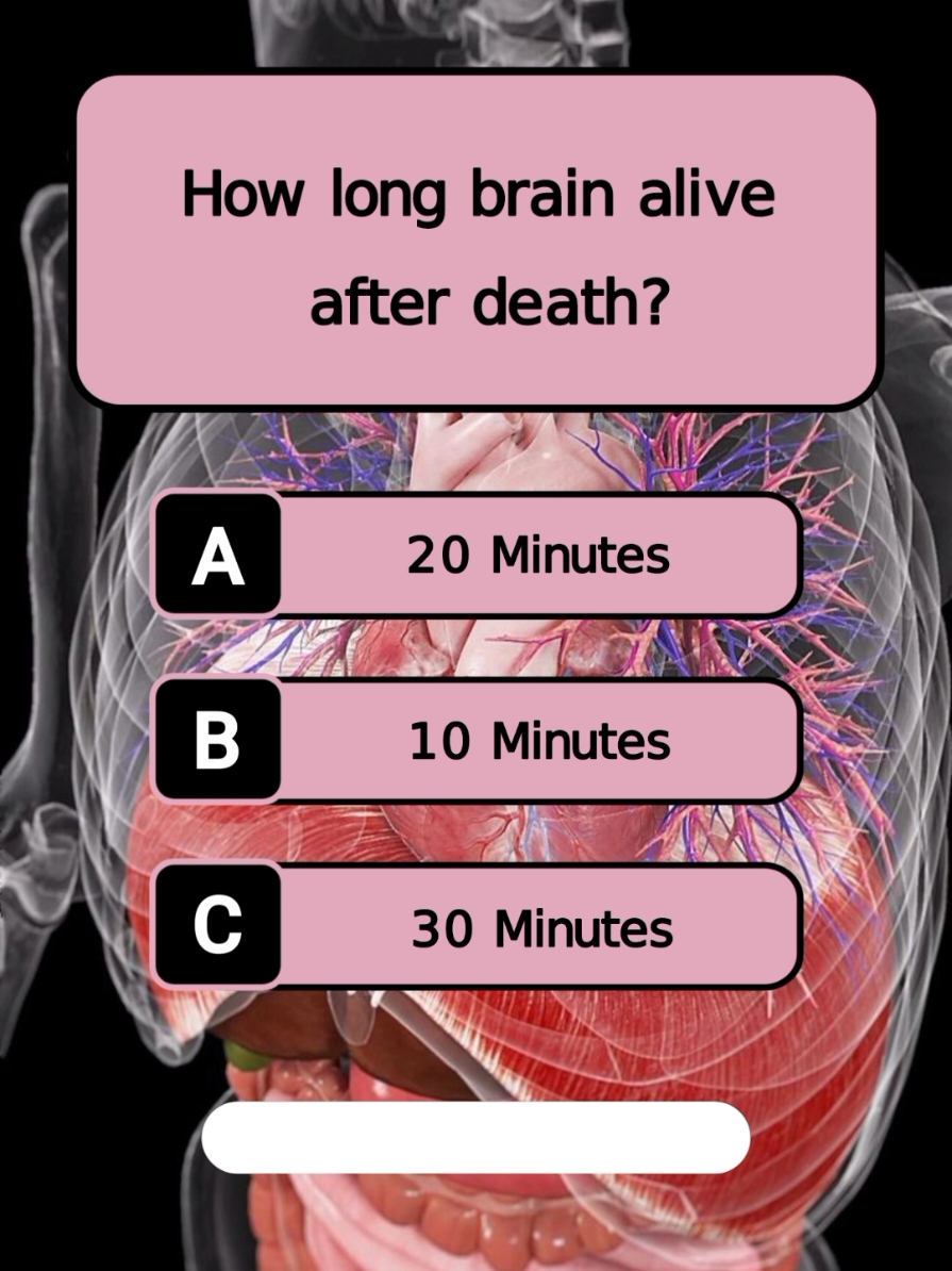 do you know? #quiz #quiztime #quizgame #quizchallenge #quizshow #quizz #quizzes #quizfun #funquiz #Englishquiz #biology #biologyquiz #trivia #triviachallenge #braintest #brainteaser #Generalknowledge #generalknowledgequiz #doyouknow #learn #learning #LearnOnTikTok #knowledge #information #fyp #viral 