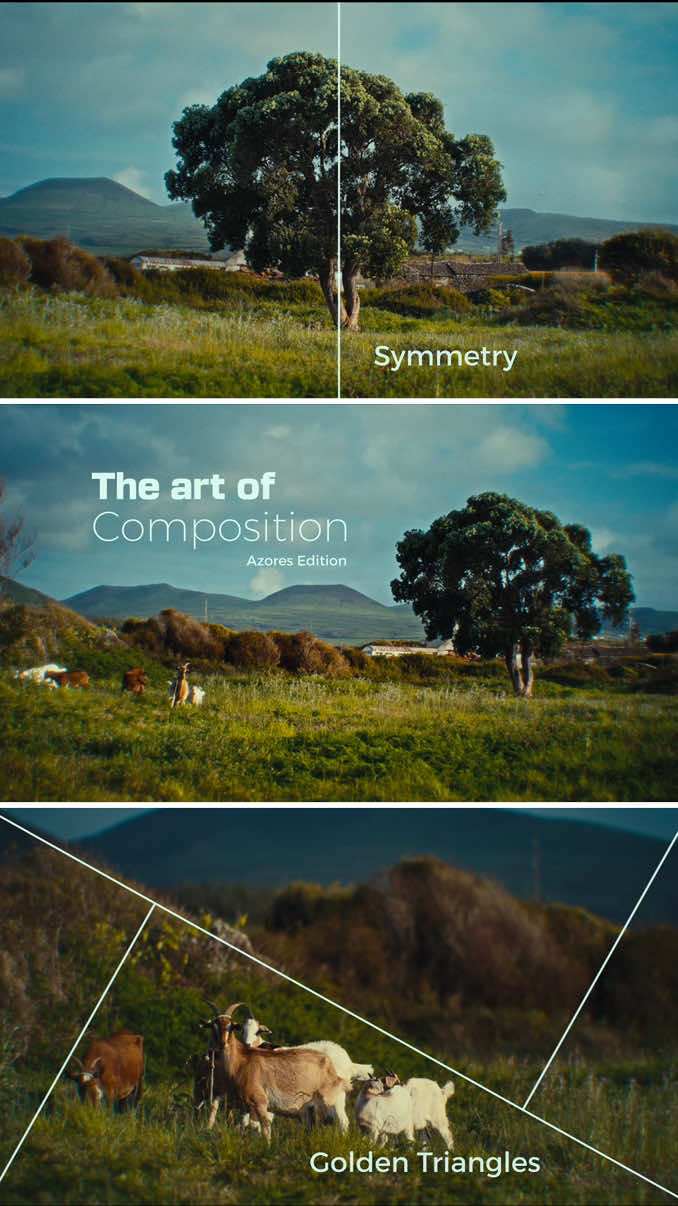 The art of composition - Azores Edition #cinematography #filmmaking #composition #azores 