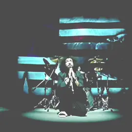 my photo gallery got stuffed while doing this  #systemofadown #soad #sugar #fyp #foryou #foryoupage #lyric #catwhisker1 