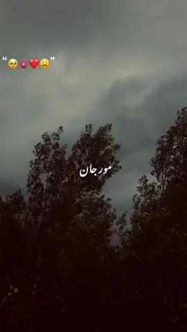 مور جان sharey ❤️🫀😩🥹#foryou #fypシ゚viral #unfrezzmyaccount #plzunfrezemyaccount #plzlikesviewscommentsshare #pashtunistan 
