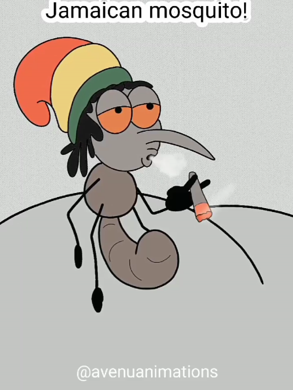 Jamaican mosquito #creatorsearchinsights #mosquito #funny #animated 