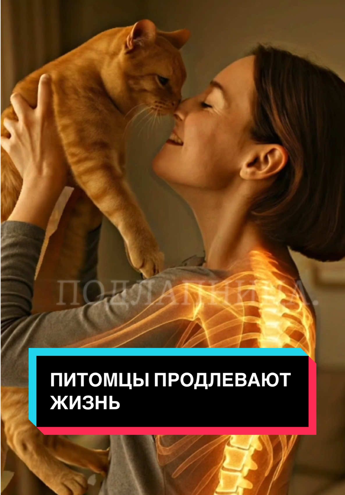 Если вы спите со своим питомцем, целуетесь с ним, делите подушку и живёте в шерсти — вы не просто ближе эмоционально. Это укрепляет иммунитет, снижает тревожность и может продлить жизнь на 20 лет. Наука это подтверждает. #животные #питомец #собакиикошки #здоровье #жизньсживотными 