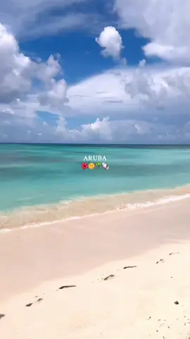 one of the best islands 🫶🏼 #aruba #caribbean #arubaonehappyisland #islandlife #summervibes 