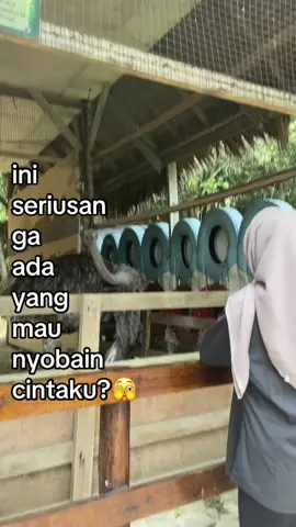 #fypシ゚ #lewatberanda #fyppppppppppppppppppppppp #bismillahfypシ #katakata 