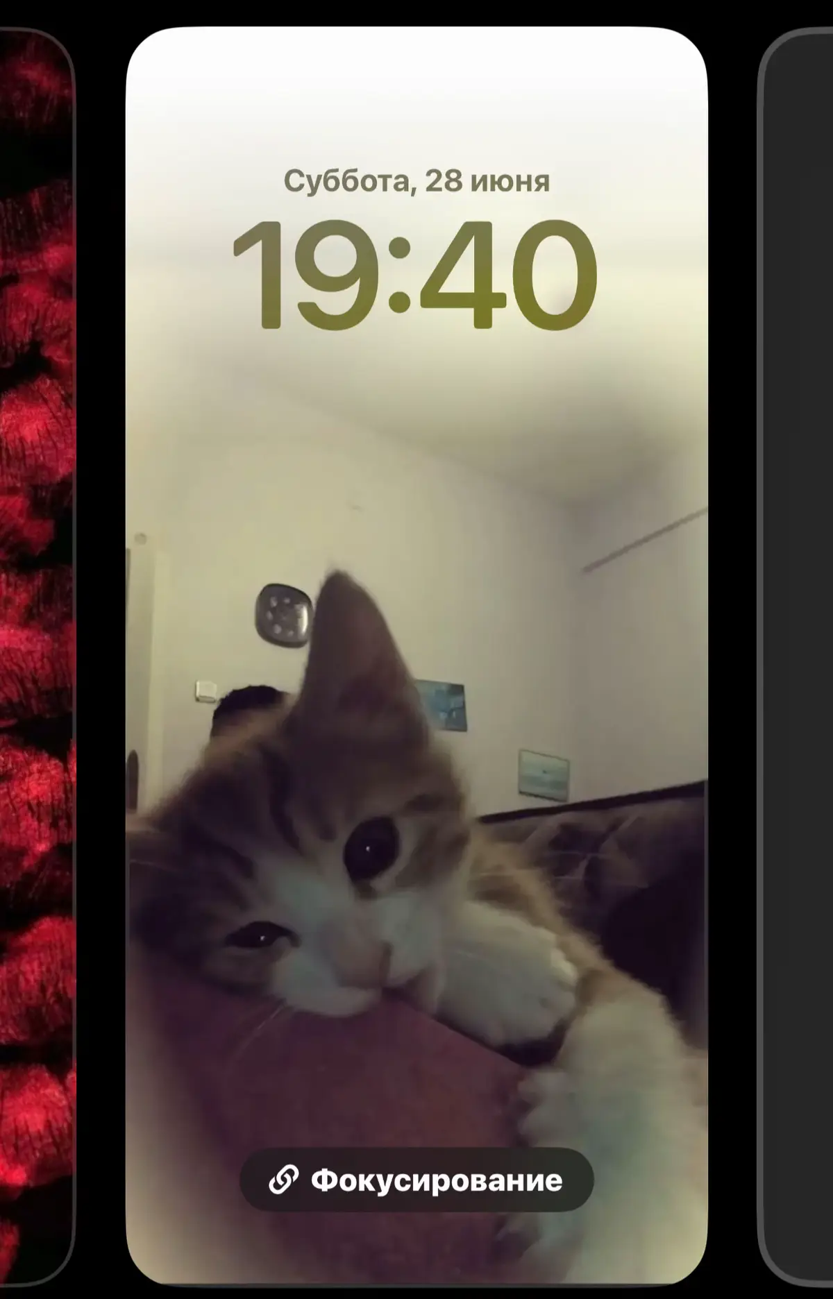 #коты #котик #новые #обоинателефон #sonic2678 #wallpaperaesthetic #обоинателефоне #sunnyvibes26 #обоинателефон #wallpaperaesthetic #обои #wallpaper #wallpapervideo 