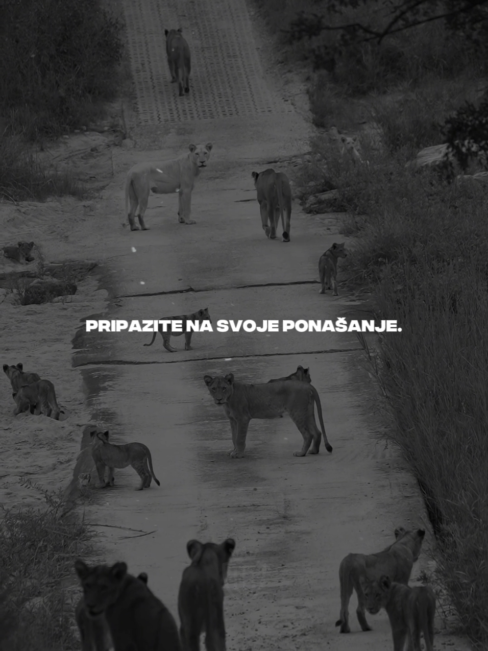 #motivacija #inspiracija #zatebe #život #mentalnasnaga #odnosi  #fypshorts #karakter 
