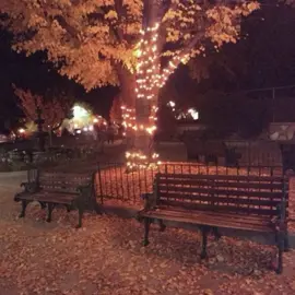 ugh i love fall #fall#halloween#nostalgia#fyp#vibes#autumn#aesthetic#fy 