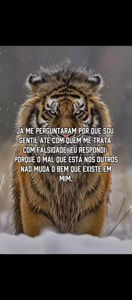 🤝🐯