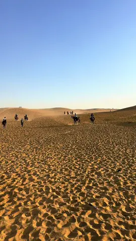 #horsesoftiktoktok #horses #horse #horsegirl #horseriding #horsesoftiktok #horselover #horsepower #horseguardsparade #horsesontiktok #arabianhorses #arabianhorsesoftiktok #nazletelsemman #خيل_وخياله🐎 #خيل  @Ahmed_Azab15 @Omar algabry 