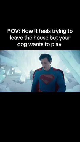 We can all relate to Clark here. #Superman #ClarkKent #davidcorenswet #relatable #krypto #smallville #loislane #meme #dc #jamesgunn #superman2025 #kryptothesuperdog #kalel #lexluthor #jamesgunnsuperman #dcmemes #superman2025movie #fyp #foryoupagе 