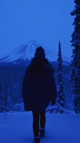 Snowfall #slowedandreverb #aesthetic #snow #oneheart #ambient #ambientmusic