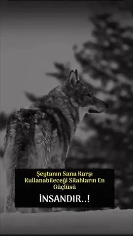 🇹🇷🦅🐺🇹🇷