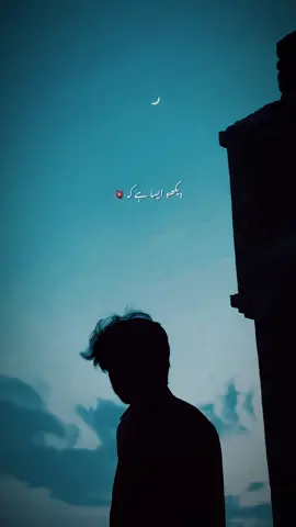 Qadar karen-✨ | Paid Repost Avalaible • #urduadab #urdudailyjokes #trendingtiktok #viralvideo #view#vuralüzül @TikTok 