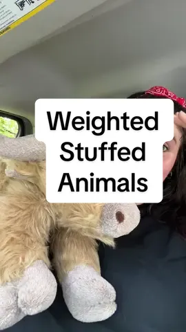 #weightedstuffedanimal #highlandcow #blackcat #weightedhighlandcow #cowlover #anxiety #tiktokshopcreatorpicks #dfyd #dealsforyoudays 