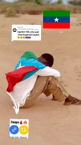 Replying to @user68328131345750 #ogadenigirl🇬🇲🇸🇴🇸🇴💖 #ogadeniaboy🇬🇲 #CapCut 