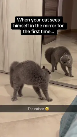 That last noise was something else 🤣🤣 #RoadTo18M #Pubity  (Via Viralhog)