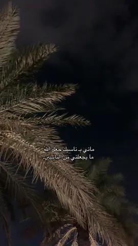 #صدوق_الحب #الوليد_ال_عامر #شيلة #جديد_الوليد_ال_عامر #🌷🌷🌷🌷 #❤️❤️ #CapCut #ماني_بناسيك_جعل_الله_مايجعلني_من_الناسين @الوليد ال عامر #الشرقية #الهفوف 