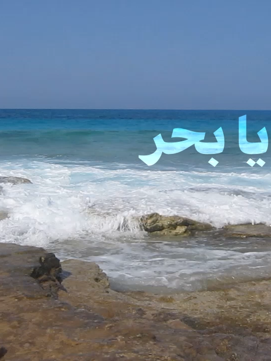 #mashrouleila