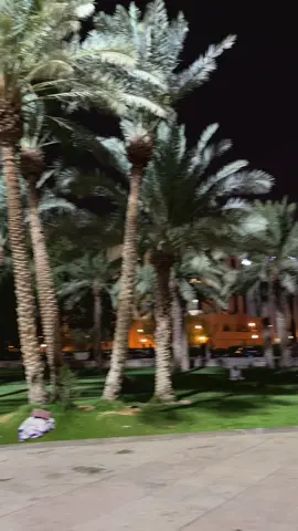 #kingfahadlibrary#olaya#fypシ゚viral#riyadh#foryoupage 