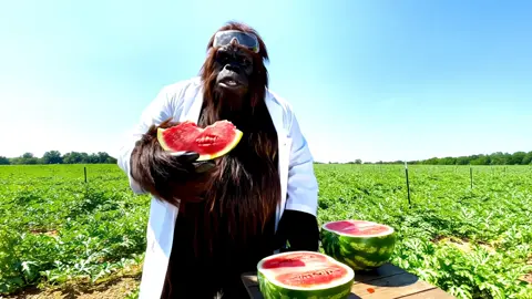 How Fruit is made #fruit  #vegan  #carnivore #fypシ  #fyp  #tiktok  #science  #ai  #veo3  #bigfoot 