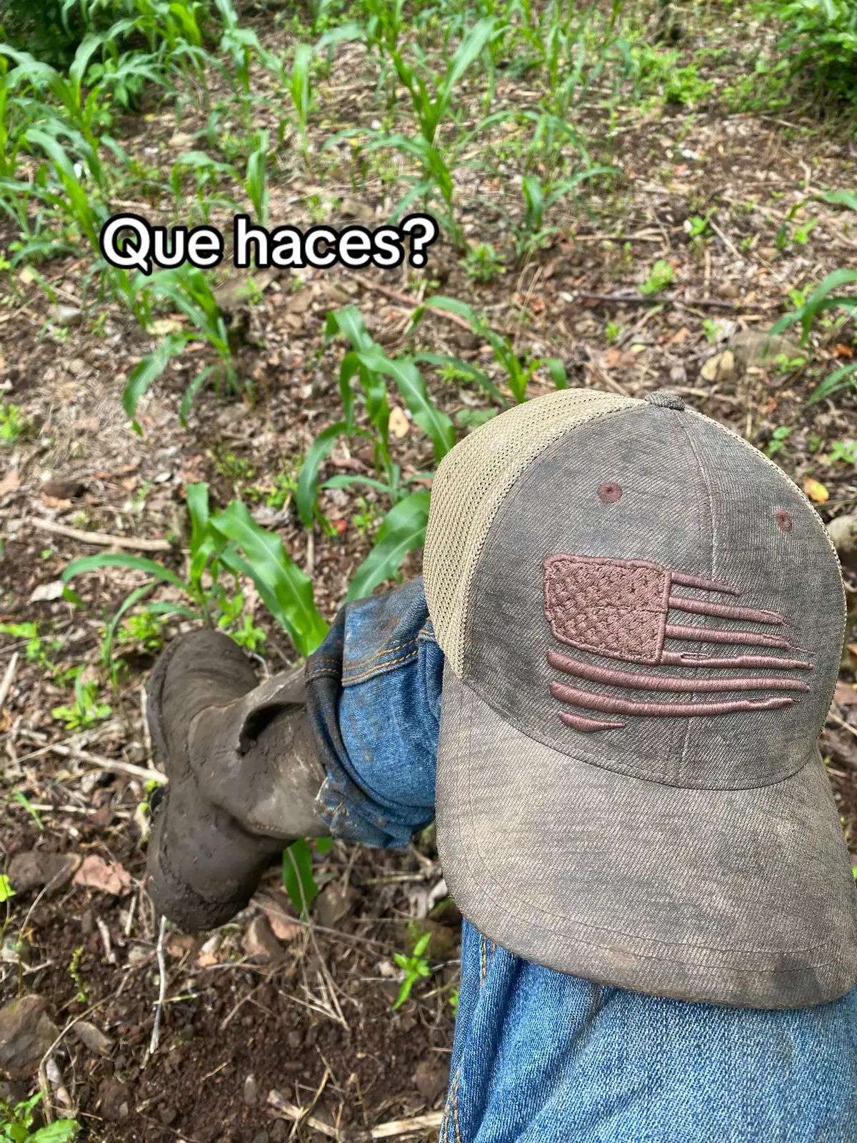 AGRICULTURA🧑🏽‍🌾 #paratiiiiiiiiiiiiiiiiiiiiiiiiiiiiiii #rancho #trabajoduro #nadaytu #Viral #vaquero #agricultura🚜🌱 #lossueñossecumplen #maiz🌽🌱 #rabano🫜